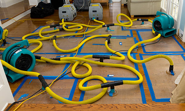 Professional Water Damage Repair technician working in North Brunswick, NJ